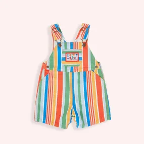 Burton Land Down Under Stripe Denim Overalls